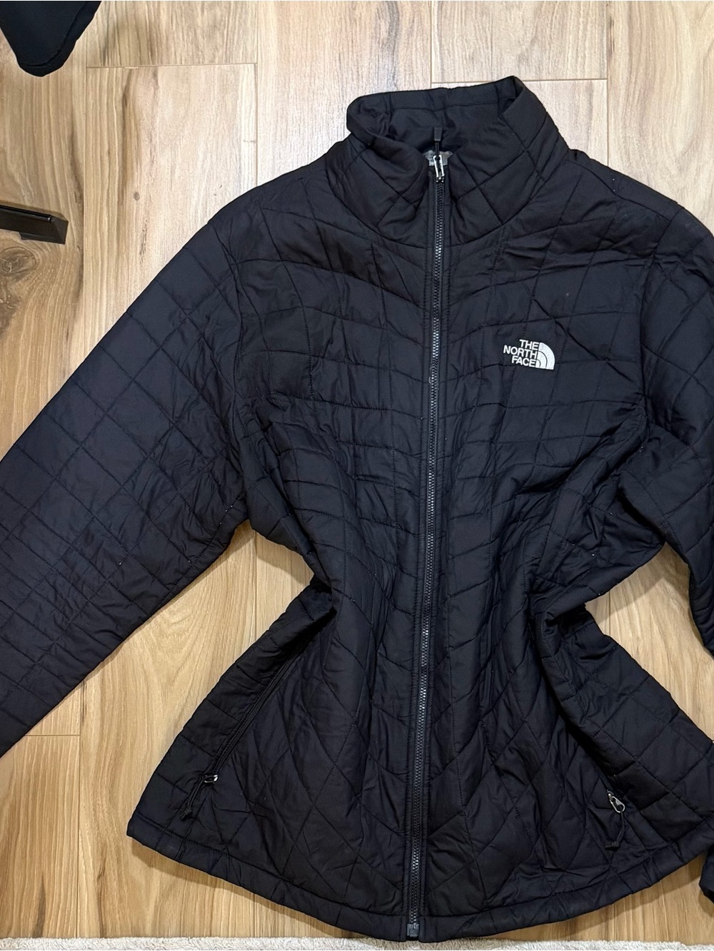 The North Face Women's Black Quilted Puffer Jacket